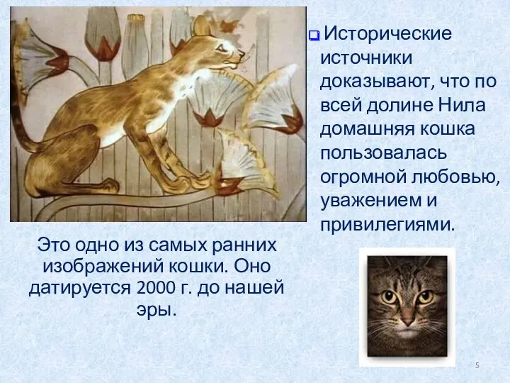 Это одно из самых ранних изображений кошки. Оно датируется 2000