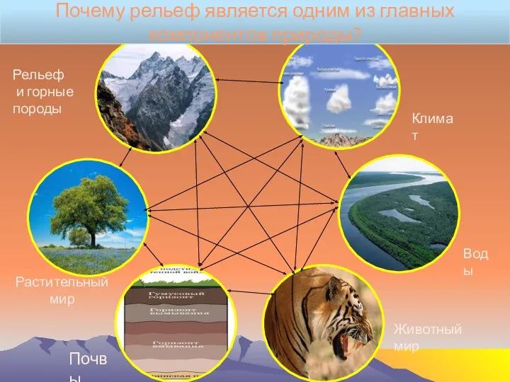 Климат Воды Животный мир Почвы Растительный мир Рельеф и горные