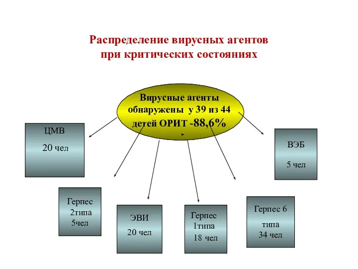 Распределение вирусных агентов при критических состояниях Вирусные агенты обнаружены у