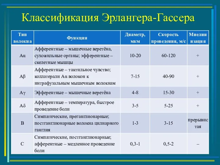 Классификация Эрлангера-Гассера