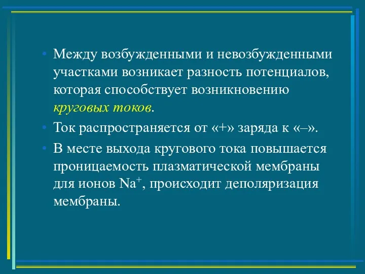 Между возбужденными и невозбужденными участками возникает разность потенциалов, которая способствует