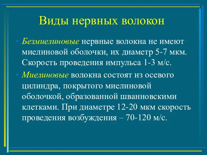 Виды нервных волокон Безмиелиновые нервные волокна не имеют миелиновой оболочки,