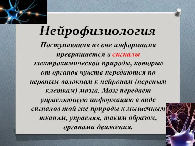 Нейрофизиология Поступающая из вне информация превращается в сигналы электрохимической природы,