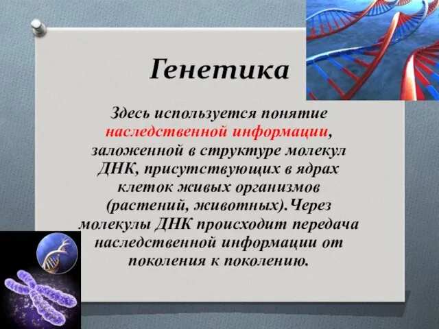 Генетика Здесь используется понятие наследственной информации, заложенной в структуре молекул