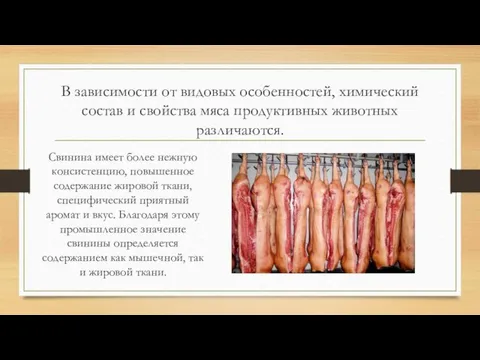 В зависимости от видовых особенностей, химический состав и свойства мяса