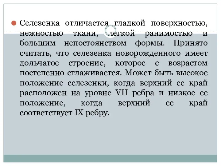 Селезенка отличается гладкой поверхностью, нежностью ткани, легкой ранимостью и большим