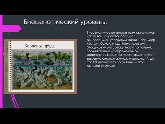 Биоценотический уровень. Биоценоз — совокупность всех организмов, населяющих участок среды