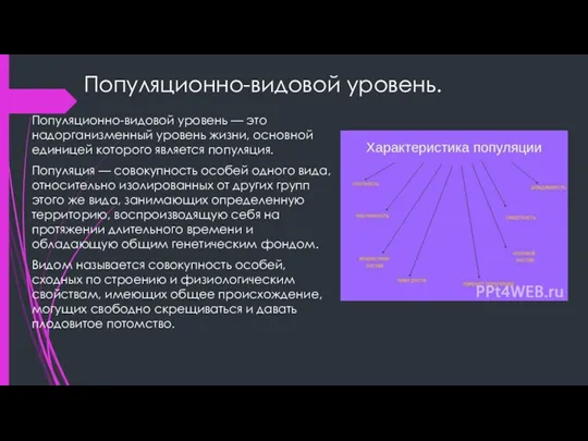 Популяционно-видовой уровень. Популяционно-видовой уровень — это надорганизменный уровень жизни, основной