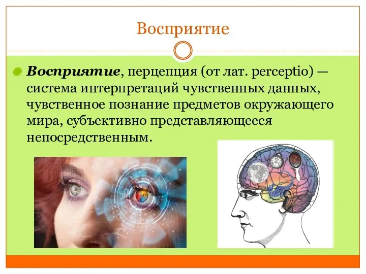 Восприятие Восприятие, перцепция (от лат. perceptio) — система интерпретаций чувственных