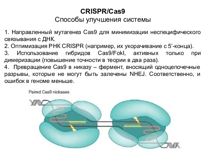 CRISPR/Cas9 Способы улучшения системы 1. Направленный мутагенез Cas9 для минимизации неспецифического связывания с