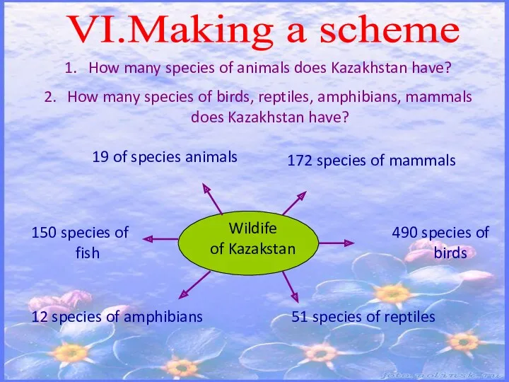 VI.Making a scheme How many species of animals does Kazakhstan