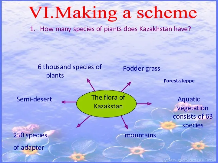 VI.Making a scheme How many species of piants does Kazakhstan