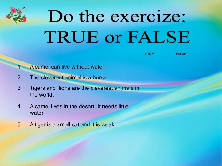 Do the exercize: TRUE or FALSE