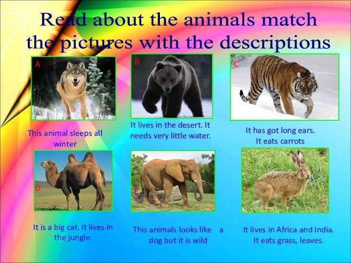 Read about the animals match the pictures with the descriptions