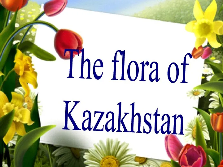 The flora of Kazakhstan
