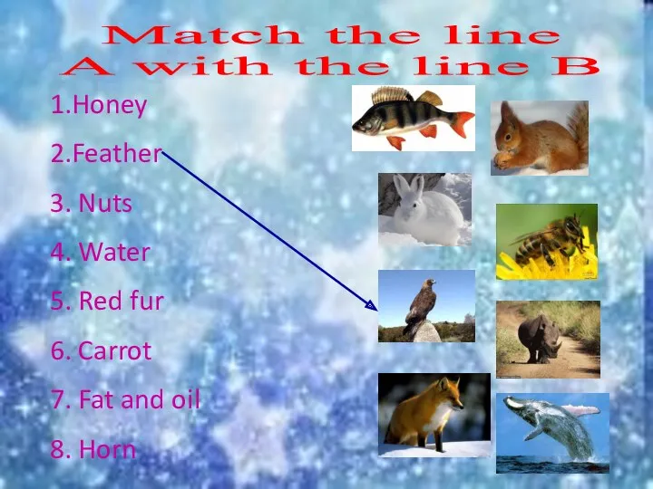 Match the line A with the line B 1.Honey 2.Feather