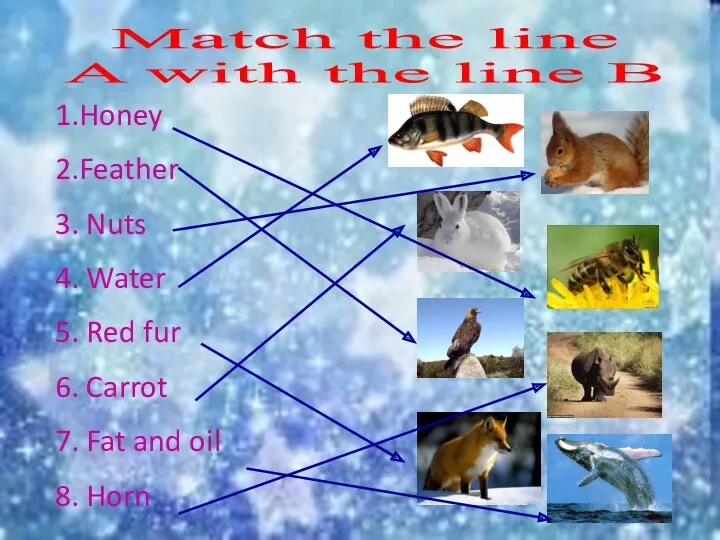 Match the line A with the line B 1.Honey 2.Feather