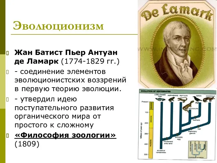 Эволюционизм Жан Батист Пьер Антуан де Ламарк (1774-1829 гг.) - соединение элементов эволюционистских