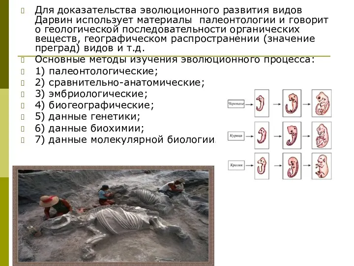 Для доказательства эволюционного развития видов Дарвин использует материалы палеонтологии и