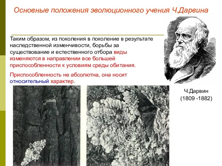Основные положения эволюционного учения Ч.Дарвина Ч.Дарвин (1809 -1882) Таким образом, из поколения в