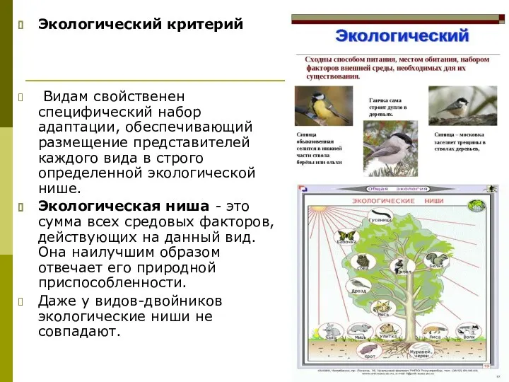 Экологический критерий Видам свойственен специфический набор адаптации, обеспечивающий размещение представителей каждого вида в