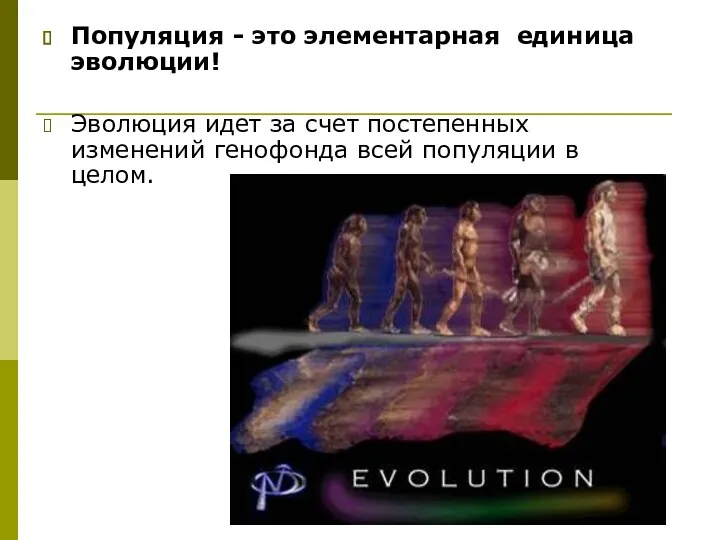 Популяция - это элементарная единица эволюции! Эволюция идет за счет постепенных изменений генофонда
