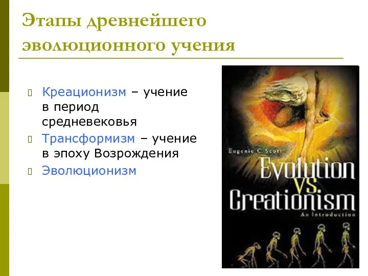 Этапы древнейшего эволюционного учения Креационизм – учение в период средневековья Трансформизм – учение