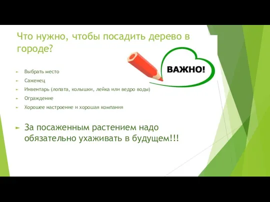 Что нужно, чтобы посадить дерево в городе? Выбрать место Саженец