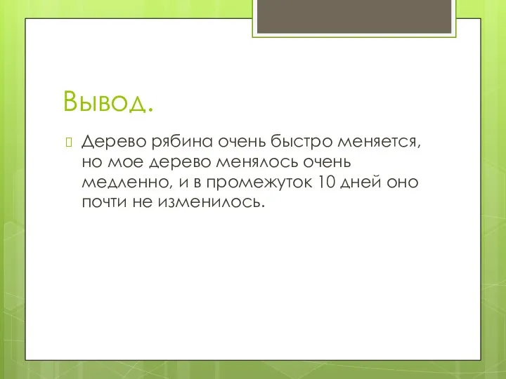 Вывод. Дерево рябина очень быстро меняется, но мое дерево менялось