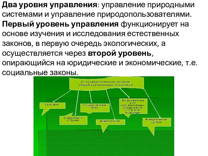 Два уровня управления: управление природными системами и управление природопользователями. Первый