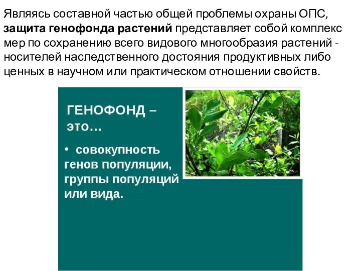 Являясь составной частью общей проблемы охраны ОПС, защита генофонда растений