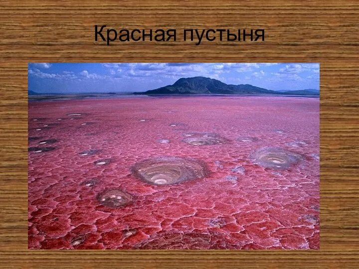 Красная пустыня