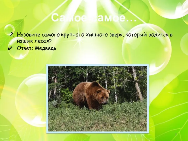 Самое-самое… 2. Назовите самого крупного хищного зверя, который водится в наших лесах? Ответ: Медведь