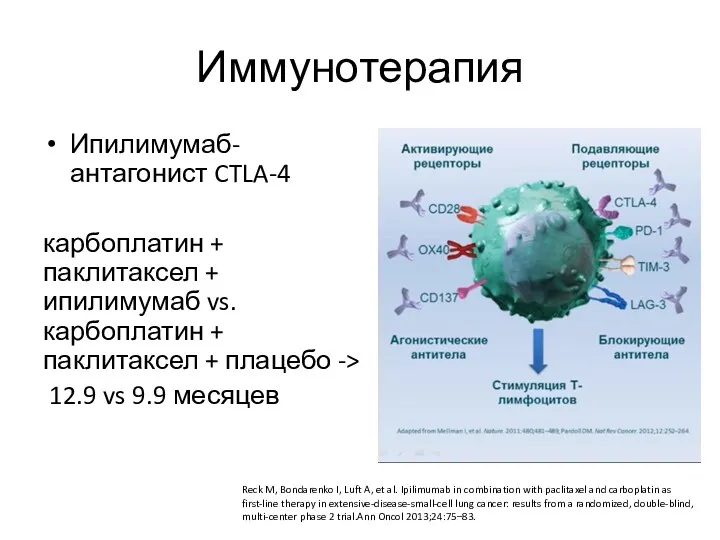 Иммунотерапия Ипилимумаб-антагонист CTLA-4 карбоплатин + паклитаксел + ипилимумаб vs. карбоплатин