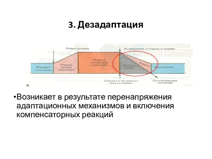 3. Дезадаптация Возникает в результате перенапряжения адаптационных механизмов и включения компенсаторных реакций