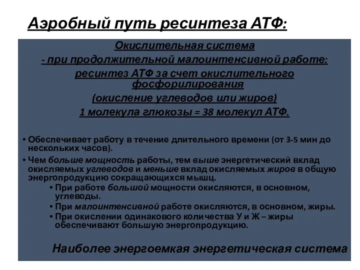 Аэробный путь ресинтеза АТФ: Окислительная система - при продолжительной малоинтенсивной