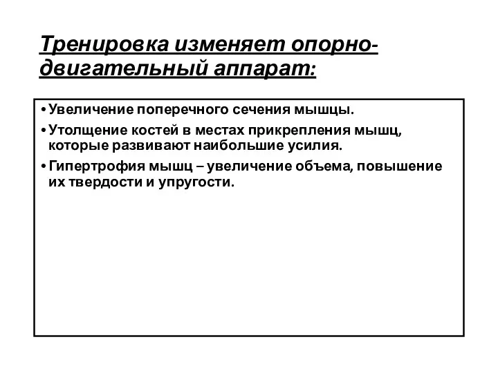 Тренировка изменяет опорно-двигательный аппарат: Увеличение поперечного сечения мышцы. Утолщение костей