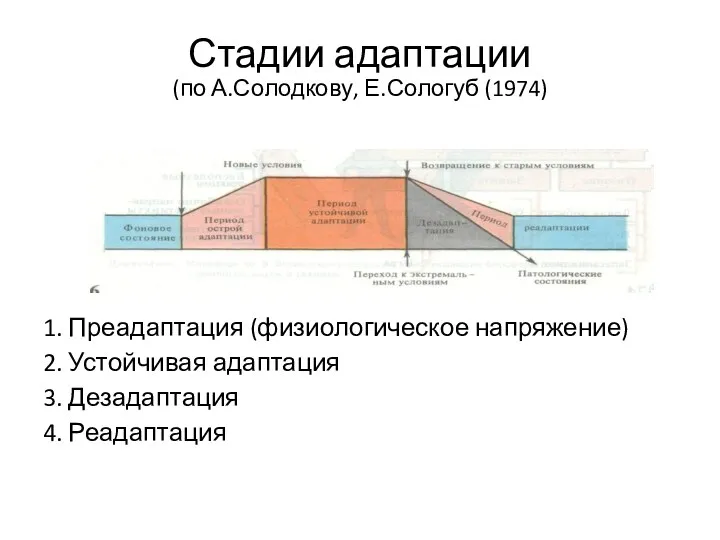 Стадии адаптации (по А.Солодкову, Е.Сологуб (1974) 1. Преадаптация (физиологическое напряжение)