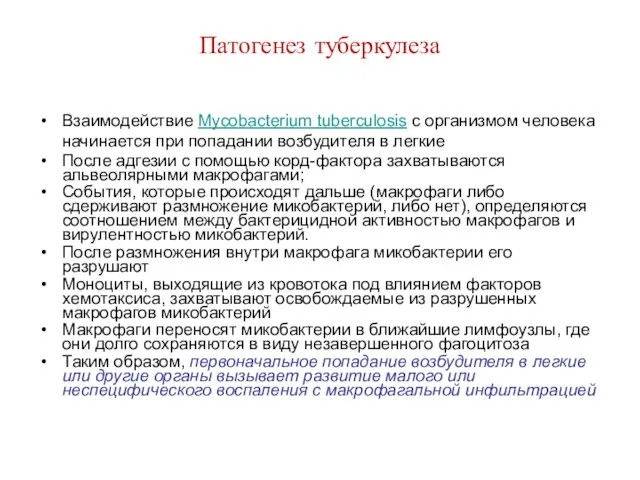 Патогенез туберкулеза Взаимодействие Mycobacterium tuberculosis с организмом человека начинается при