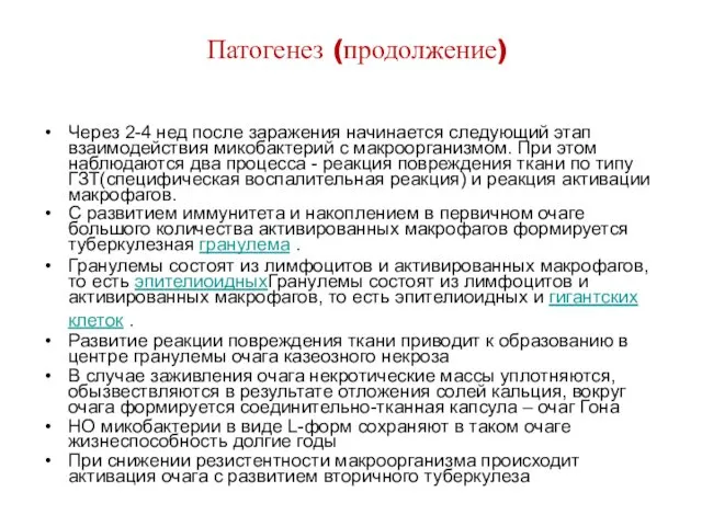 Патогенез (продолжение) Через 2-4 нед после заражения начинается следующий этап