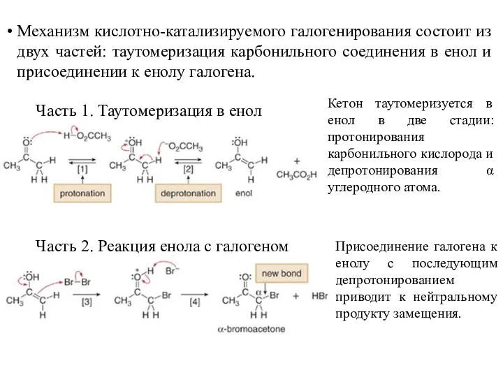 Механизм кислотно-катализируемого галогенирования состоит из двух частей: таутомеризация карбонильного соединения