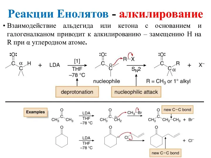 Реакции Енолятов - алкилирование Взаимодействие альдегида или кетона с основанием