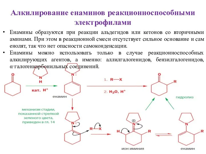 Алкилирование енаминов реакционноспособными электрофилами Енамины образуются при реакции альдегидов или