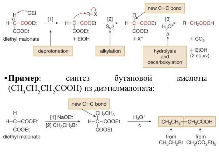Пример: синтез бутановой кислоты (CH3CH2CH2COOH) из диэтилмалоната: