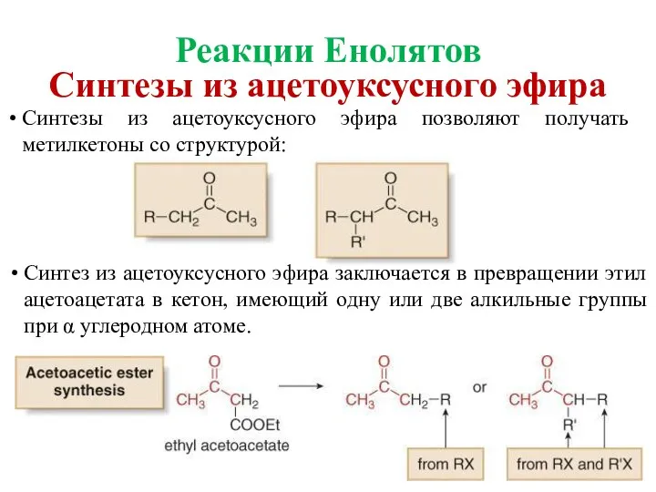 Синтезы из ацетоуксусного эфира позволяют получать метилкетоны со структурой: Синтез