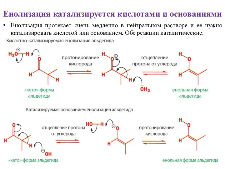 Енолизация катализируется кислотами и основаниями Енолизация протекает очень медленно в