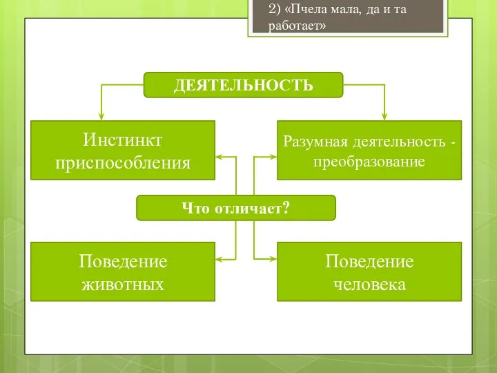 2) «Пчела мала, да и та работает»