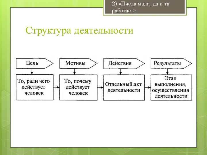 Структура деятельности 2) «Пчела мала, да и та работает»