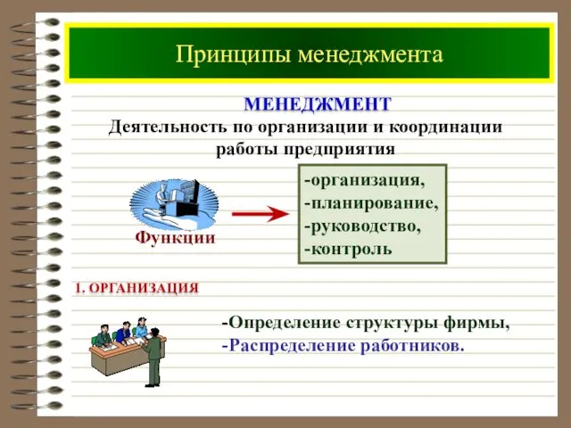 Принципы менеджмента Деятельность по организации и координации работы предприятия -организация,