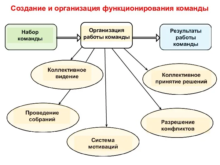 Создание и организация функционирования команды